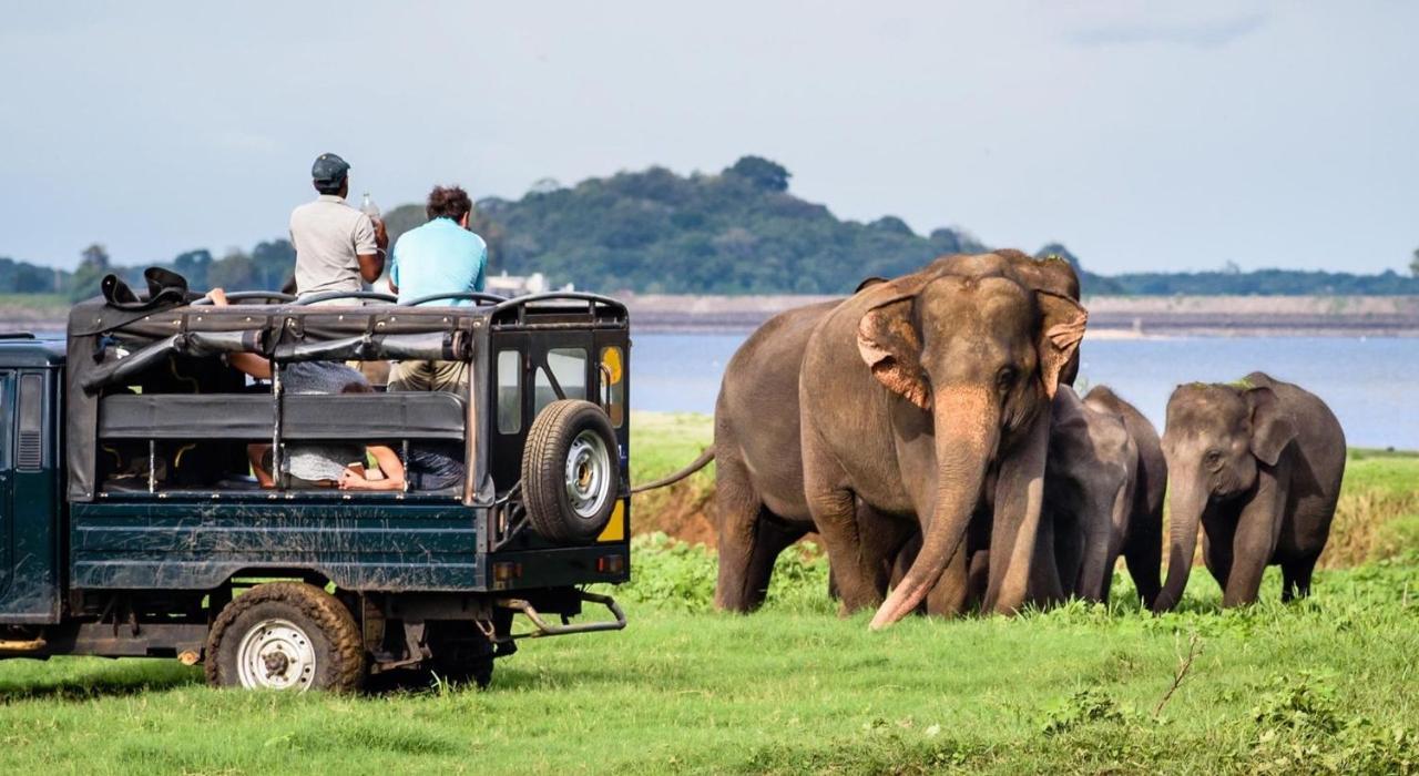 Dinesh Safari Homestay Udawalawe Kültér fotó